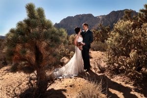 A bride and groom standing in front of a joshua tree in the desert.