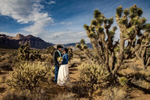 A Desert Wedding