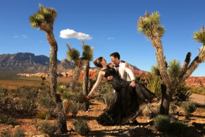 A Wedding at Red Rock Canyon