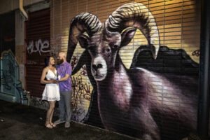 Big Horn Sheep