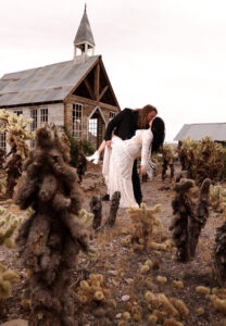 Cactus Lace Weddings