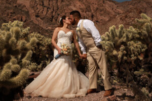 Cactus and lace