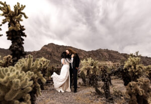 Desert Cactus Wedding Lace Vegas