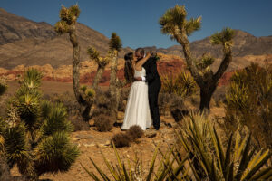 Elope to Red Rock