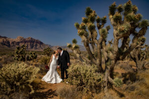 National Park Wedding