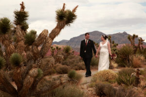 Overlook at Red Rock Canyon