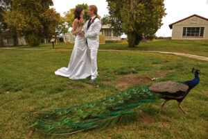 Ranch Wedding