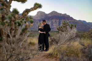 Red Rock Las Vegas Wedding