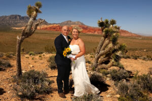 Red Rock Overlook wedding