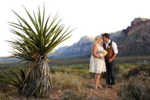 Scenic Red Rock Wedding