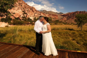 Scenic Vegas Weddings 1