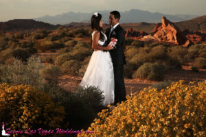 Valley of Fire Photo Tour