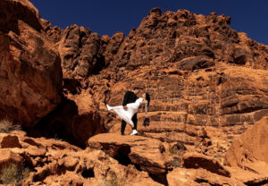 Valley of Fire Visitor Center Wedding copy