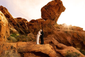 Vegas Wedding Packages